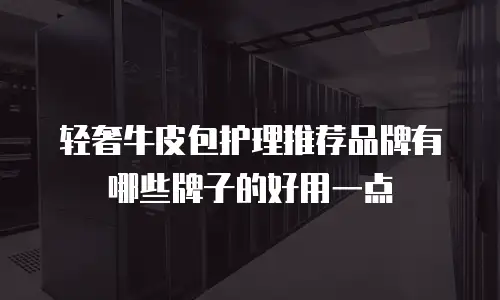 轻奢牛皮包护理推荐品牌有哪些牌子的好用一点