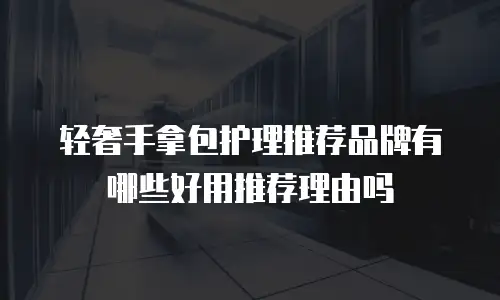 轻奢手拿包护理推荐品牌有哪些好用推荐理由吗