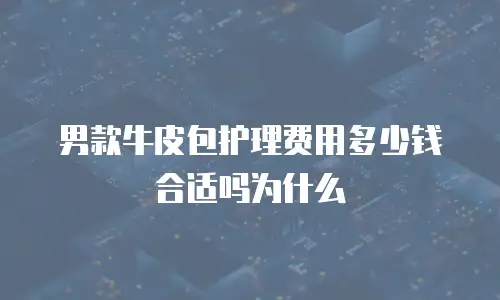 男款牛皮包护理费用多少钱合适吗为什么