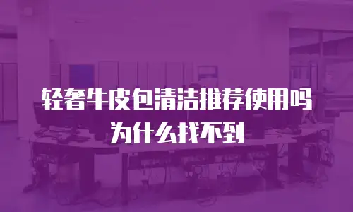 轻奢牛皮包清洁推荐使用吗为什么找不到