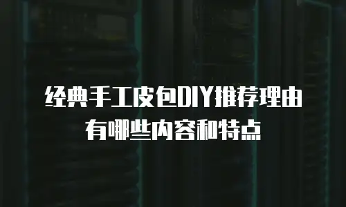 经典手工皮包DIY推荐理由有哪些内容和特点