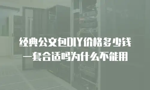 经典公文包DIY价格多少钱一套合适吗为什么不能用