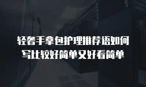 轻奢手拿包护理推荐语如何写比较好简单又好看简单