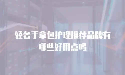轻奢手拿包护理推荐品牌有哪些好用点吗