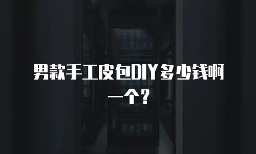 男款手工皮包DIY多少钱啊一个？
