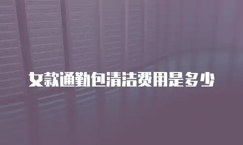 女款通勤包清洁费用是多少