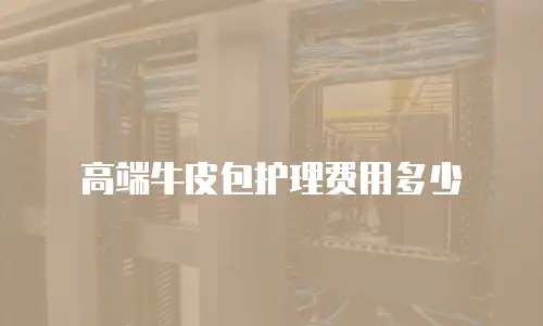 高端牛皮包护理费用多少