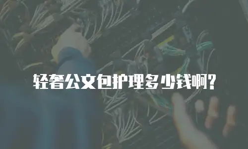 轻奢公文包护理多少钱啊?
