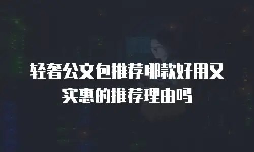 轻奢公文包推荐哪款好用又实惠的推荐理由吗