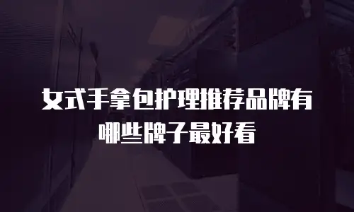 女式手拿包护理推荐品牌有哪些牌子最好看