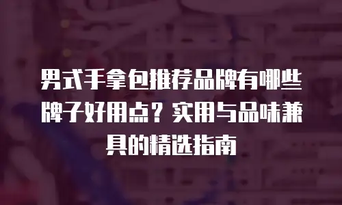 男式手拿包推荐品牌有哪些牌子好用点？实用与品味兼具的精选指南