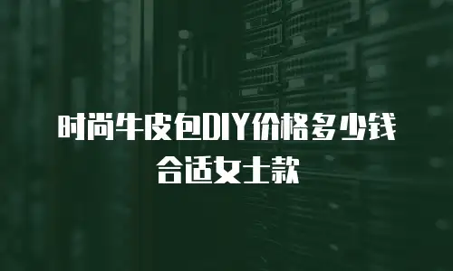 时尚牛皮包DIY价格多少钱合适女士款