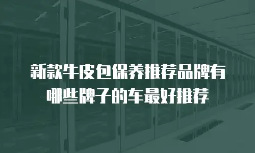 新款牛皮包保养推荐品牌有哪些牌子的车最好推荐