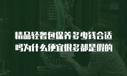 精品轻奢包保养多少钱合适吗为什么便宜很多都是假的
