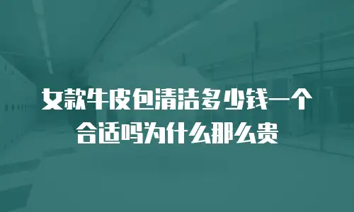 女款牛皮包清洁多少钱一个合适吗为什么那么贵