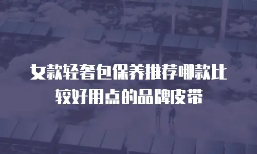 女款轻奢包保养推荐哪款比较好用点的品牌皮带