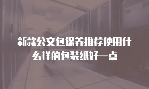 新款公文包保养推荐使用什么样的包装纸好一点