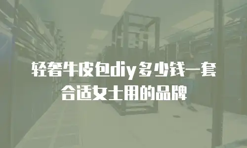 轻奢牛皮包diy多少钱一套合适女士用的品牌