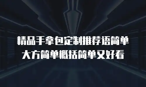 精品手拿包定制推荐语简单大方简单概括简单又好看