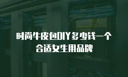 时尚牛皮包DIY多少钱一个合适女生用品牌