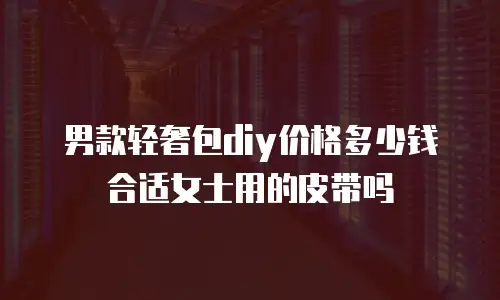 男款轻奢包diy价格多少钱合适女士用的皮带吗