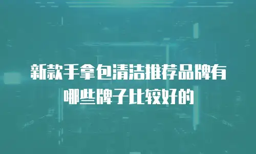 新款手拿包清洁推荐品牌有哪些牌子比较好的