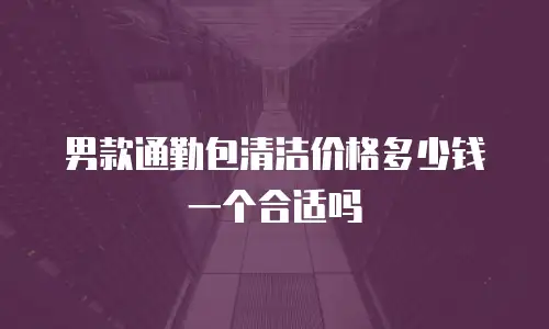男款通勤包清洁价格多少钱一个合适吗