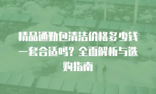精品通勤包清洁价格多少钱一套合适吗？全面解析与选购指南