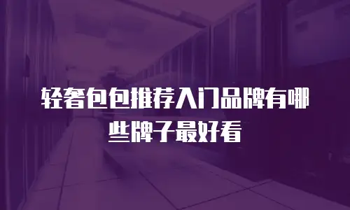 轻奢包包推荐入门品牌有哪些牌子最好看