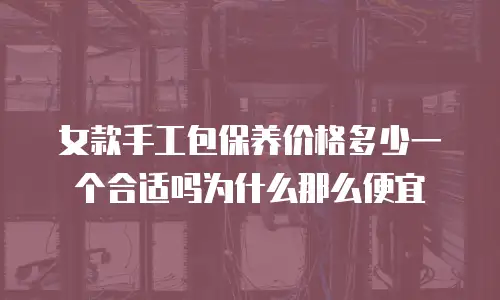女款手工包保养价格多少一个合适吗为什么那么便宜