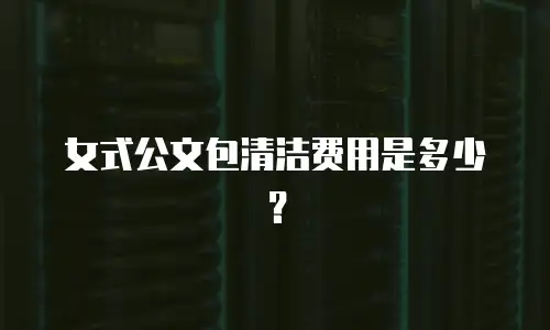 女式公文包清洁费用是多少？