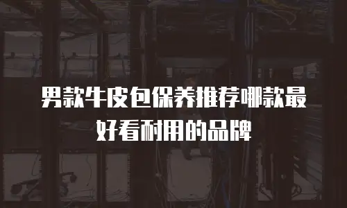 男款牛皮包保养推荐哪款最好看耐用的品牌