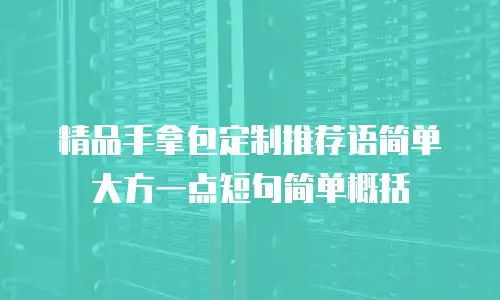 精品手拿包定制推荐语简单大方一点短句简单概括