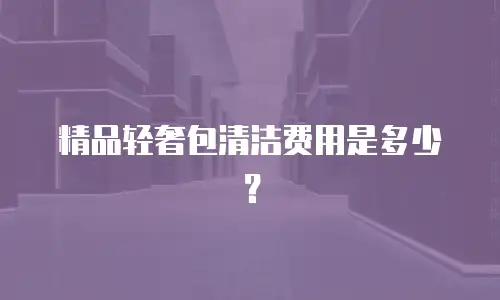 精品轻奢包清洁费用是多少？