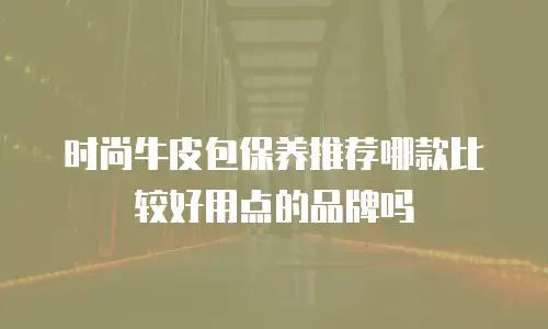 时尚牛皮包保养推荐哪款比较好用点的品牌吗