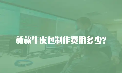 新款牛皮包制作费用多少？