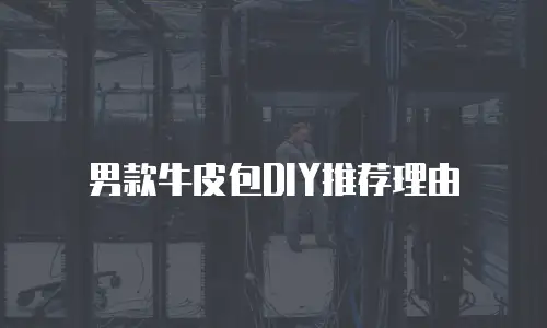 男款牛皮包DIY推荐理由