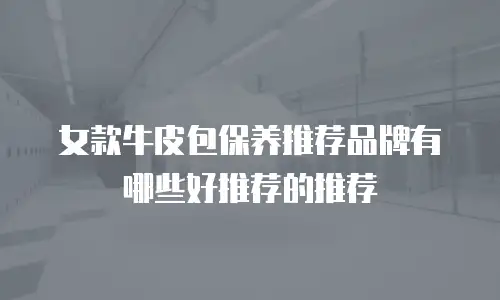 女款牛皮包保养推荐品牌有哪些好推荐的推荐