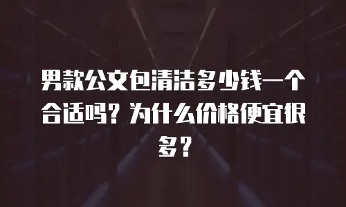男款公文包清洁多少钱一个合适吗？为什么价格便宜很多？