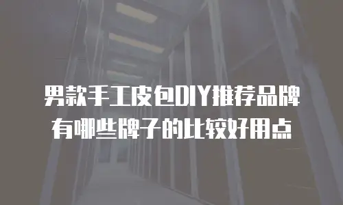 男款手工皮包DIY推荐品牌有哪些牌子的比较好用点