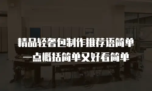 精品轻奢包制作推荐语简单一点概括简单又好看简单