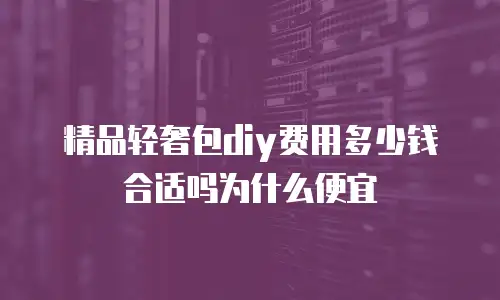 精品轻奢包diy费用多少钱合适吗为什么便宜