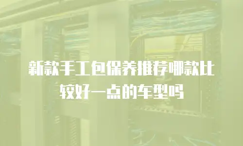 新款手工包保养推荐哪款比较好一点的车型吗