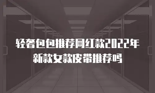 轻奢包包推荐网红款2022年新款女款皮带推荐吗