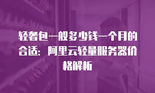 轻奢包一般多少钱一个月的合适：阿里云轻量服务器价格解析