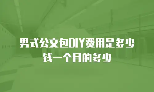 男式公文包DIY费用是多少钱一个月的多少