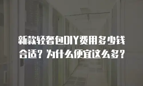 新款轻奢包DIY费用多少钱合适？为什么便宜这么多？