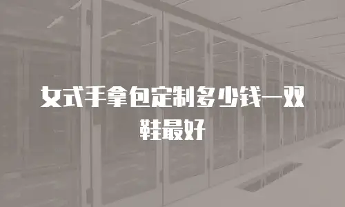 女式手拿包定制多少钱一双鞋最好