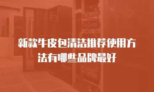 新款牛皮包清洁推荐使用方法有哪些品牌最好