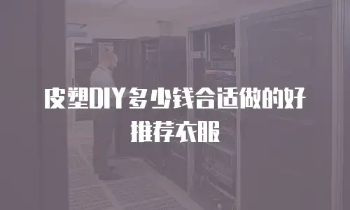 皮塑DIY多少钱合适做的好推荐衣服
